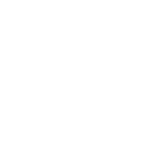 MEGALORD CONSULTING